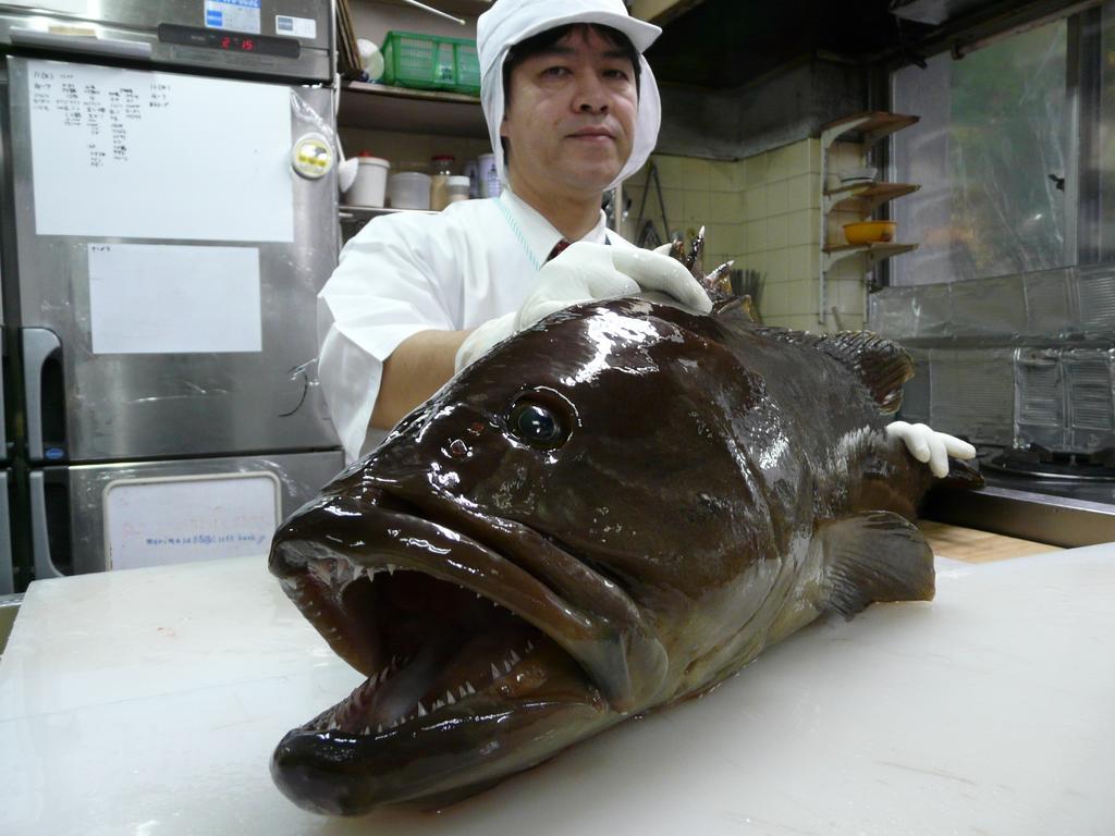 Shinwaka Lodge Wakayama Bagian luar foto